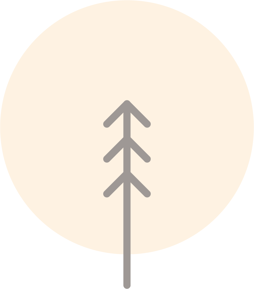 トップへ戻るボタン